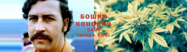СК Арсеньев