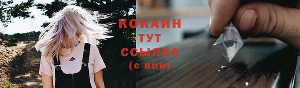 СК Арсеньев